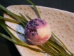 Cremebadekugel Paradiesfrüchtchen